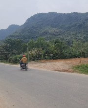 Nguyễn Sơn Lâm - ĐẤT NỀN