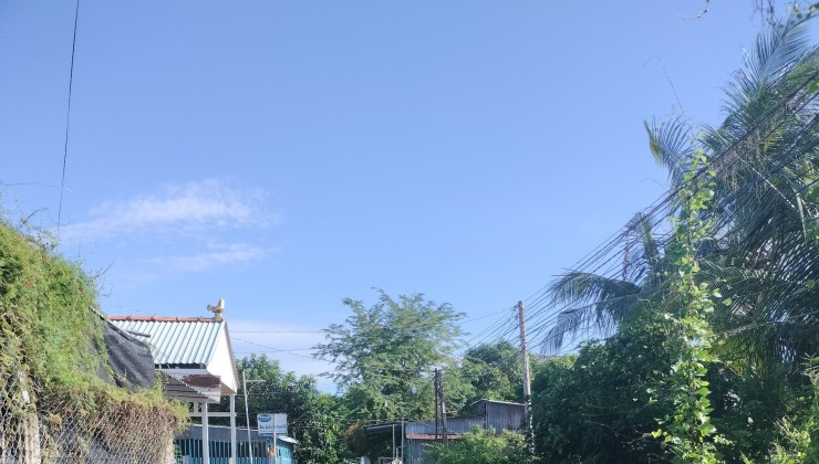 Chính chủ cần bán đất xã Phú Ninh, huyện Tam Nông, tỉnh Đồng Tháp