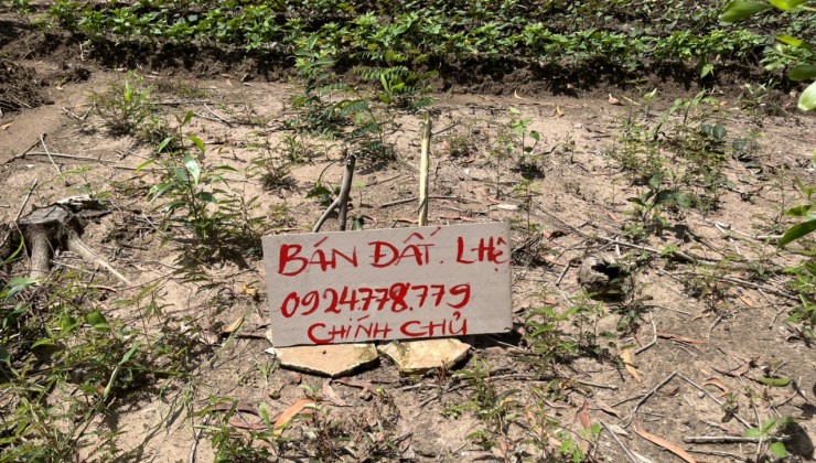 Chính chủ cần bán đất nền tại Thuộc xã Tân Hiệp, Huyện Phú giáo, Tỉnh Bình Dương