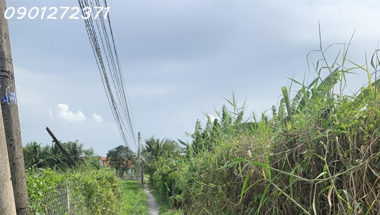Bán đất full thổ cư 246m2 cách mặt tiền DT830B chỉ 10m,Xã Long Định ,Huyện Cấn Đước