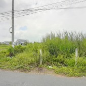 Bán miếng đất mặt tiền đường Trường Bình, Phước Lâm, Cần Giuộc. Giá 2,3 tỷ TL