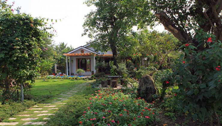 Đất nhà vườn khu vực thị xã Bình Long gần chùa Quốc Vạn Thành, Có sẵn vườn ổi và nhà cấp 4 có thể dọn vô ở ngay. Tổng diện tích 1000m2 mặt tiền 17m đường nhựa lộ giới 23m