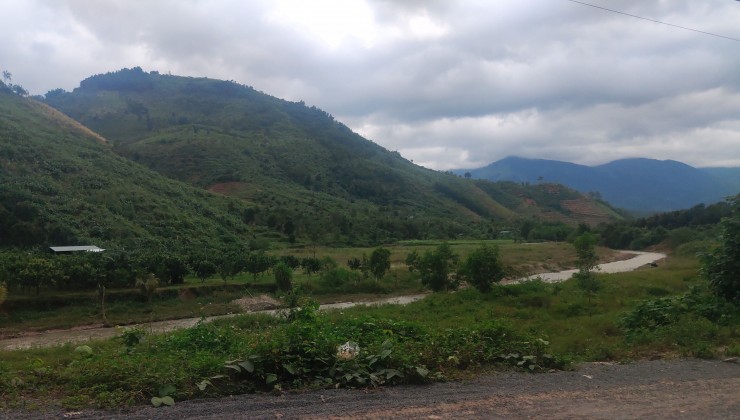 Chính chủ cần bán đất vị trí đẹp tại xã Thành Sơn, huyện Khánh Sơn, tỉnh Khánh Hoà