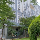 Chính chủ bán gấp căn hộ Chung cư  Dream Home Gò Vấp, 70m2, tầng 5 thoáng mát, giá chỉ 2 tỷ.