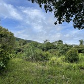 Cần bán mảnh đất 1.6ha có vườn cây trái lâu năm tại TP Phú Quốc Giá Đầu Tư