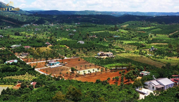 Chính chủ bán thửa đất Lộc An, Bảo Lâm, Lâm Đồng, khi hậu mát mẻ, xe tải đến tận nơi, 1,6 ha, giá chỉ 4,3 tỷ.