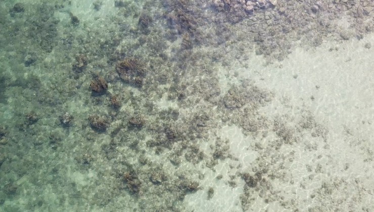 Bán mảnh đất 850m mặt biển ngắn lặn san hô giá rẻ nhất TP Phú Quốc