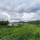 Bán lô đất view rừng thông tại Xuân Thọ Đà Lạt 970m2