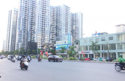 Chính chủ bán nhà mặt phố Trường Chinh 62m2 – kinh doanh quán phở - Spa cực đẹp chỉ 13.8 tỷ