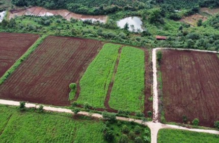 Bán đất vườn trong nông trại Southern Pleiku Farm Giá 260tr/1000m