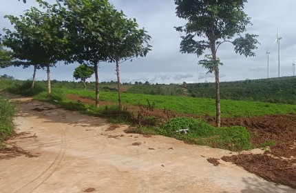 Bán đất vườn trong nông trại Southern Pleiku Farm Giá 260tr/1000m