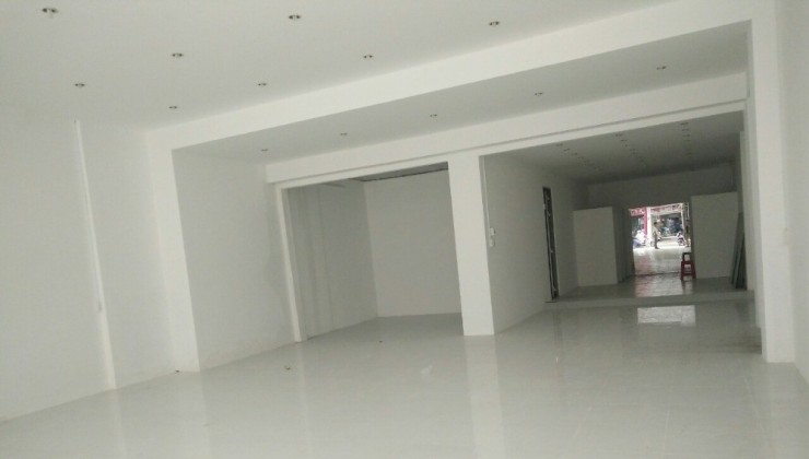 Bán mặt tiền Ngô Chân Lưu, 1300m2 (12x55m), nở hậu, sát Tôn Đức Thắng, chỉ 20 tỷ