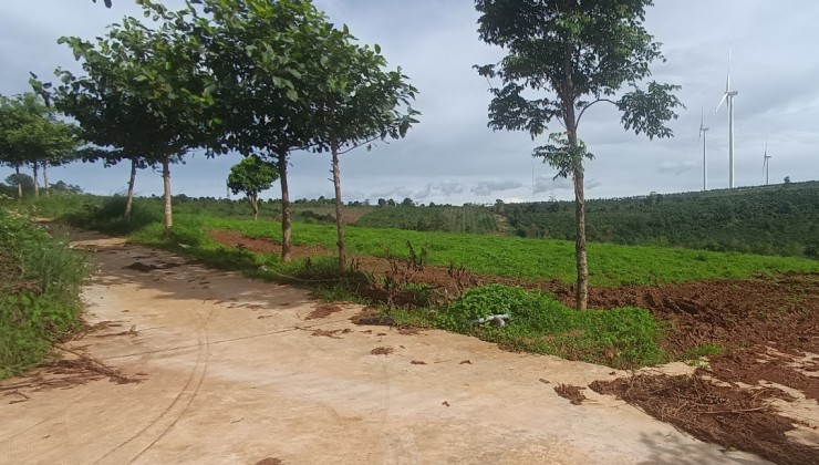 Bán đất huyện Chư Prông sổ hồng 1000m giá 180tr đường ô tô 5m