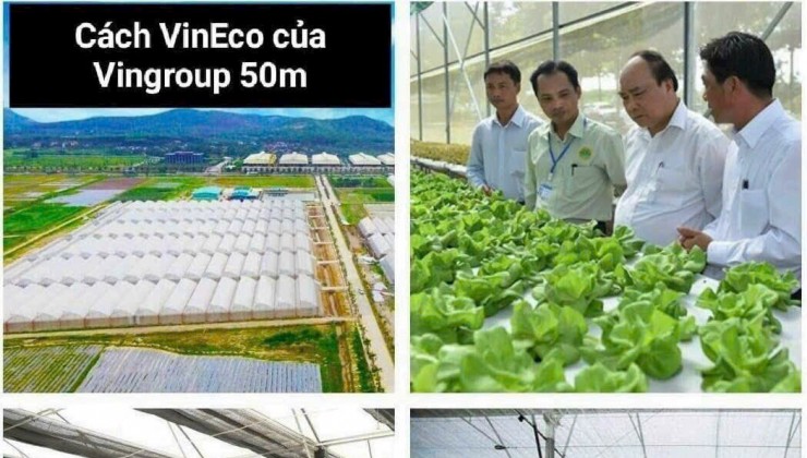 Bán Đất KDC Phú Hòa Đông, Huyện Củ Chi, TP Hồ Chí Minh.