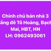 Chính chủ cần bán nhà đường đê Tô Hoàng, Bạch Mai, Hai Bà Trưng, Hà Nội