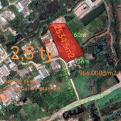 Bán gấp lô đất thổ mặt tiền Đường Nguyễn Hoàng Anh giá 1,95 tỷ