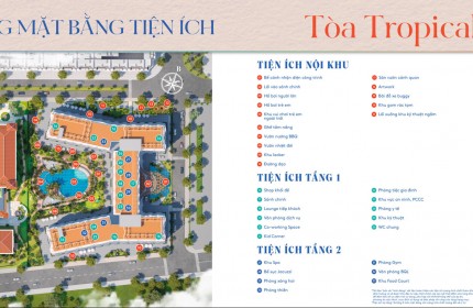 35.000 BOOKING CHO 10000 CĂN HỘ Ở PHÚ QUÔC SỰ CẠNH TRANH QUÁ KHỐC LIỆT TỪNG CĂN - THE5WAY