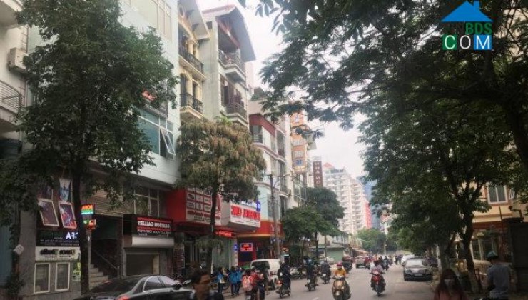 bán gấp 124m2 giá 12 tỷ tại Nguyễn Ngọc Vũ Cầu Giấy ngõ nông ô tô 7 chỗ vào nhà