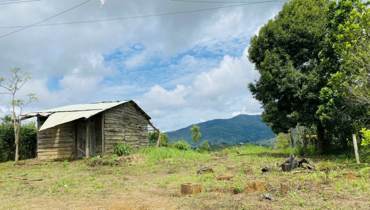 Thanh lý đất nền Măng Đen - Kon Tum giá rẻ