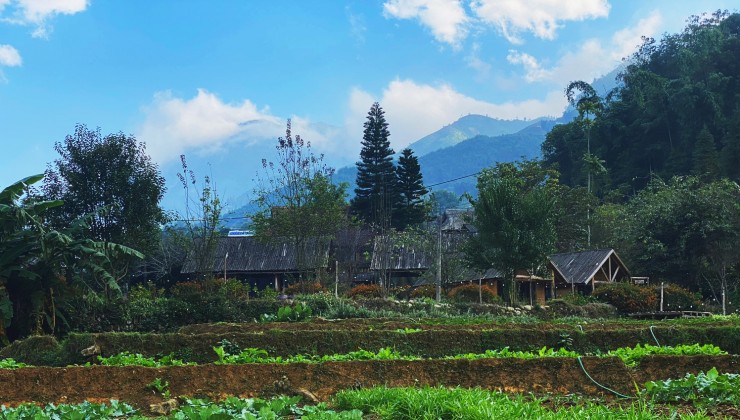 XU HƯỚNG MỚI ĐẦU TƯ SIÊU LỢI NHUẬN DÒNG TIỀN BẤT ĐỘNG SẢN DU LỊCH NÔNG NGHIỆP