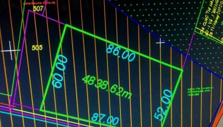 Bán 2 cây sưa đỏ trên 100 năm tuổi tại Đồng Nai có chứng nhận rõ ràng