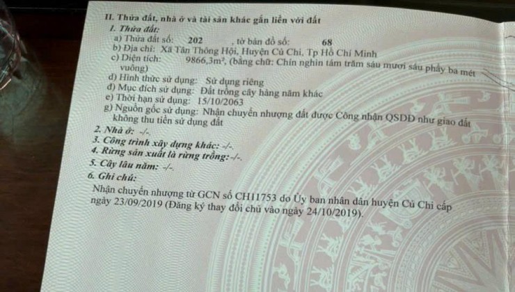 Bán gấp đất vườn tổng DT 1,5 mẫu, trên đất đã trồng kín Cà Na, ấp xóm Huế - xã tân an hội - huyện củ Chi - tphcm.