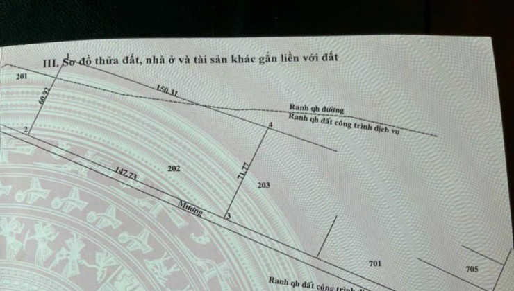 Cần bán gấp lô đất  tọa lạc tại ấp Mũi Lớn, xã Tân An Hội,huyện Củ Chi - TPHCM