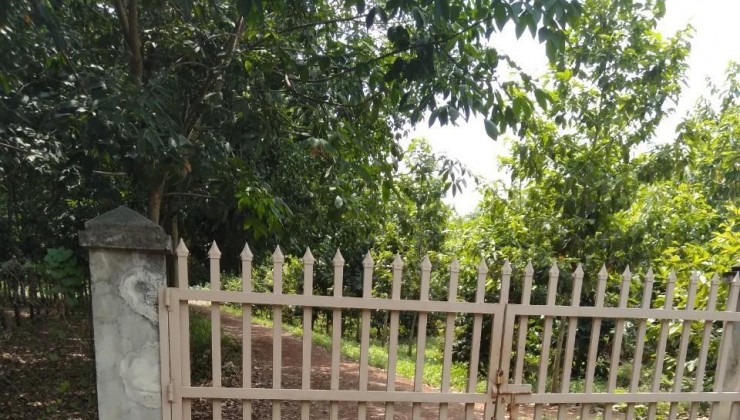 Bán đất vườn xã đôn thuận - trảng bàng Tây Ninh