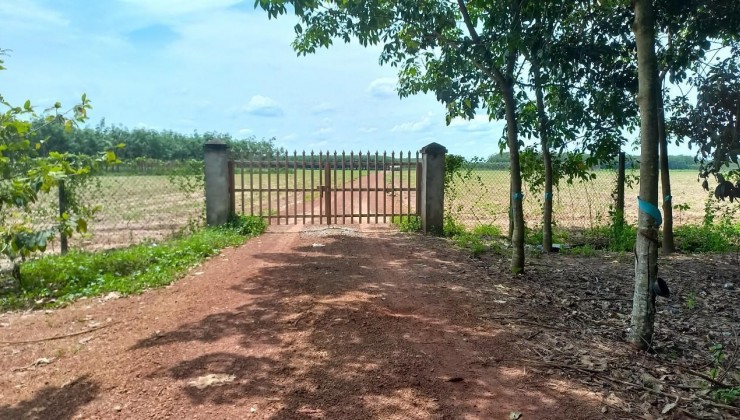 Cần bán đất  tại xã EA H,leo-Huyện EA Hleo- Tỉnh Đắk Lắk