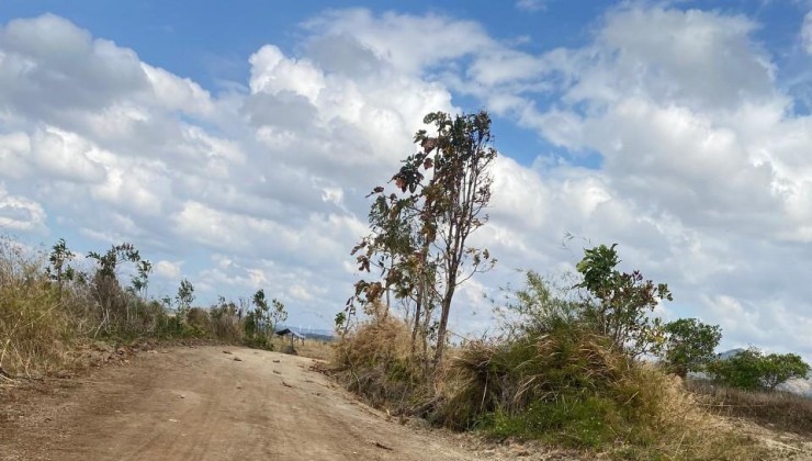 Bán đất diện tích 4 mẫu đất tại xã EA H,leo-Huyện EA Hleo- Tỉnh Đắk Lắk