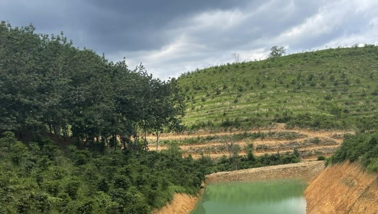 Bán đất Tây Nguyên 15 héc ta đất vườn cây ăn trái, chất đất đỏ Bazan, 
tọa lạc tại xã Quảng Khê -huyện Đắk Glong-Đắk Nông.