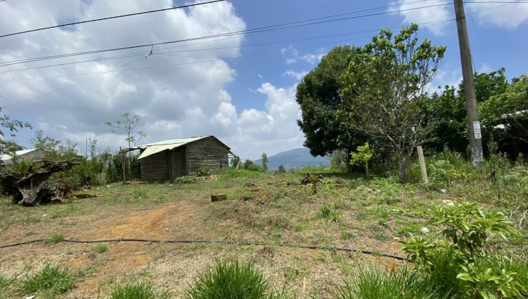 Bán lô đất thích hợp làm Homestay tại Măng Đen Tây Nguyên