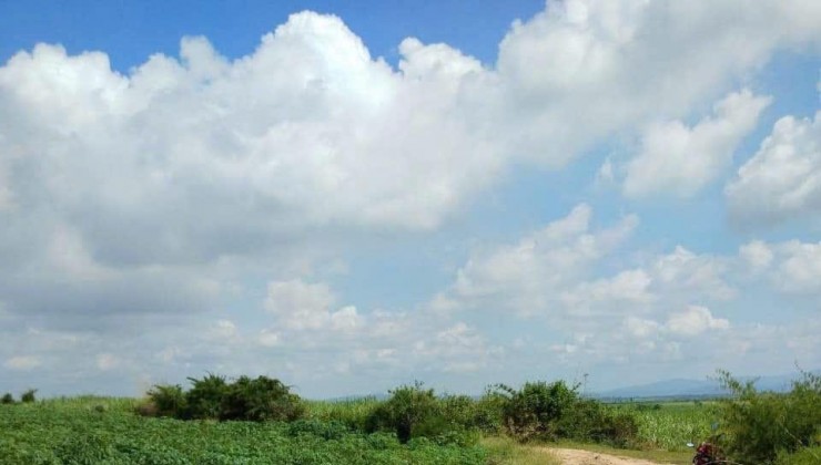 Xuất cảnh cần bán gấp đất vườn cây ăn trái 15 Hecta , đất đỏ Bazan, xã Quảng Khê, huyện Đắk Glong,Đắk Nông