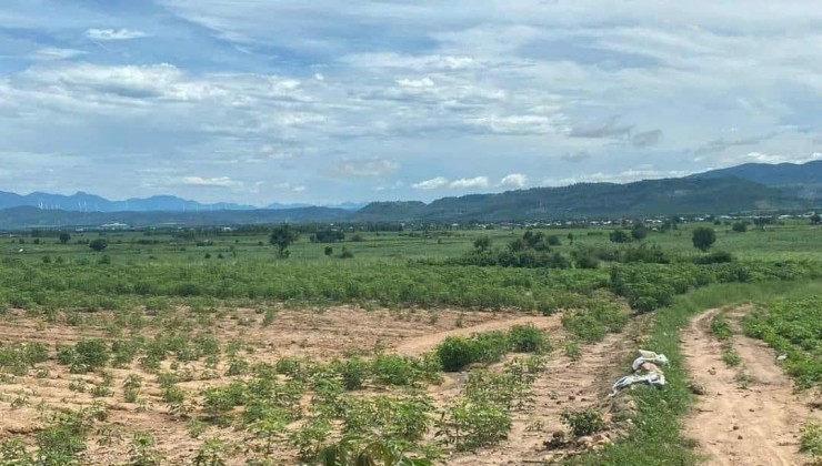 Cần bán gấp 4 mẫu đất tại -Huyện EA Hleo- Tỉnh Đắk Lắk
