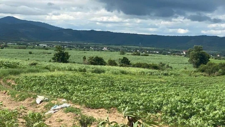 Cần bán gấp 4 mẫu đất tại -Huyện EA Hleo- Tỉnh Đắk Lắk