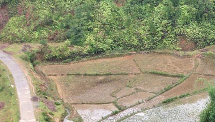 Cắt lỗ lô đấtt diện tích lớn tại Măng Đen- Kon Tum