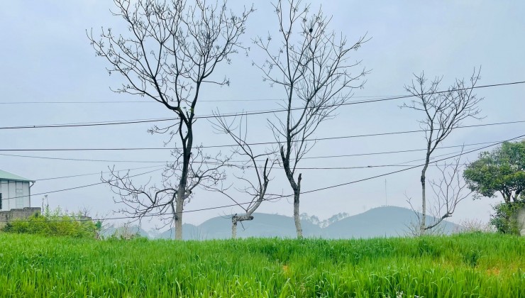 BÁN DỰ ÁN BIỂN HỒ VILLAGE - TIỀM NĂNG PHÁT TRIỂN CAO