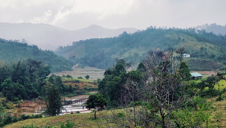 GẦN TẾT BÁN ĐẤT MĂNG ĐEN GIÁ RẺ DIỆN TÍCH RỘNG