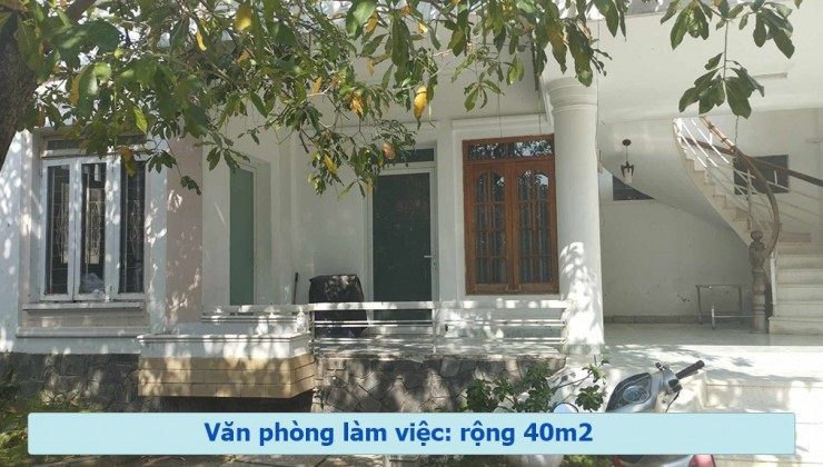 Chính Chủ Cần Cho Thuê Văn Phòng, Kho Hàng Và Cafe Sân Vườn Vị Trí Đẹp Tại TP Hồ Chí Minh