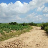 Xuất cảnh cần bán gấp đất vườn cây ăn trái 15 Hecta , đất đỏ Bazan, xã Quảng Khê, huyện Đắk Glong,Đắk Nông