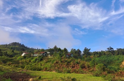 Bán đất siêu rẻ thích hợp làm homestay tại thị xã Măng Cành