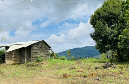 Bán đất siêu rẻ phù hợp làm homestay tại Kon Tum