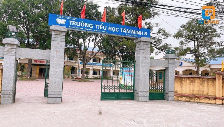 Hơn 700 triệu ô tô chạy vòng quanh 50m ra tới đường liên xã tại Sơn Đông-Tân Minh