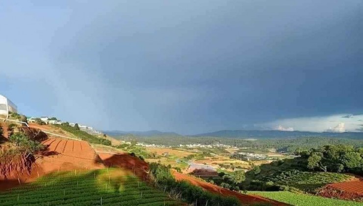 Bán đất view đẹp tại Xuân Thọ Đà Lạt 2370m2