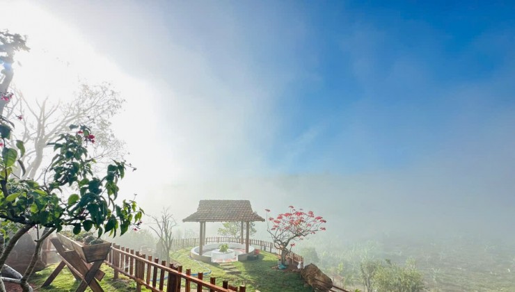 Chính thức mở bán chiếc view 