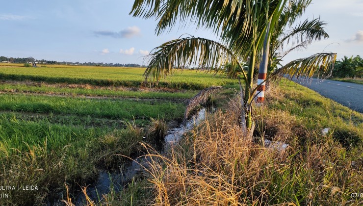 Bán gấp lô đất lúa chuyển thổ mặt tiền Đường Nguyễn Hoàng Anh giá 4,4 tỷ