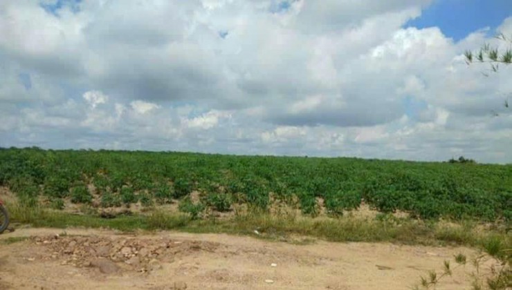 Cần bán gấp lô  đất có diện tích 1,6 mẫu đất  tại huyện La Pa, tỉnh Gia Lai