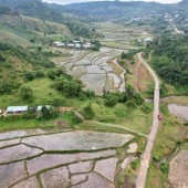 Cắt lỗ  mảnh đất tại thị trấn Măng Đen- Kon Tum