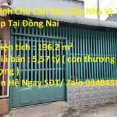 Chính Chủ Cần Bán Gấp Nhà Đường Phạm Văn Thuận, Phường Tam Hiệp, Biên Hòa