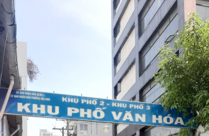 Nhà 2 tầng nở hậu gần hẻm ÔTô đường Nguyễn Cảnh Chân P. Cầu Kho Q1. Giá 4,2 tỷ TL